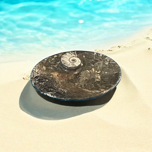 Ammonite Dish